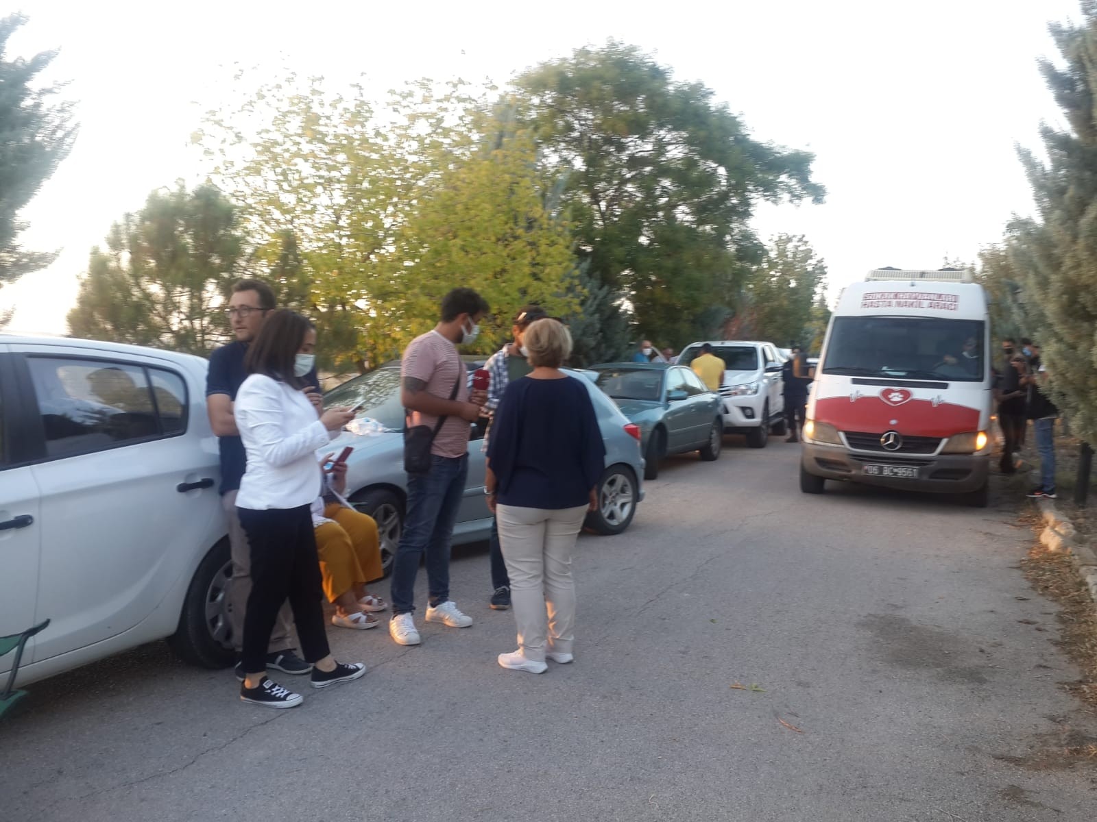 Ankara’da yol kenarına bırakılan 50 yavru köpekten 20’si telef oldu