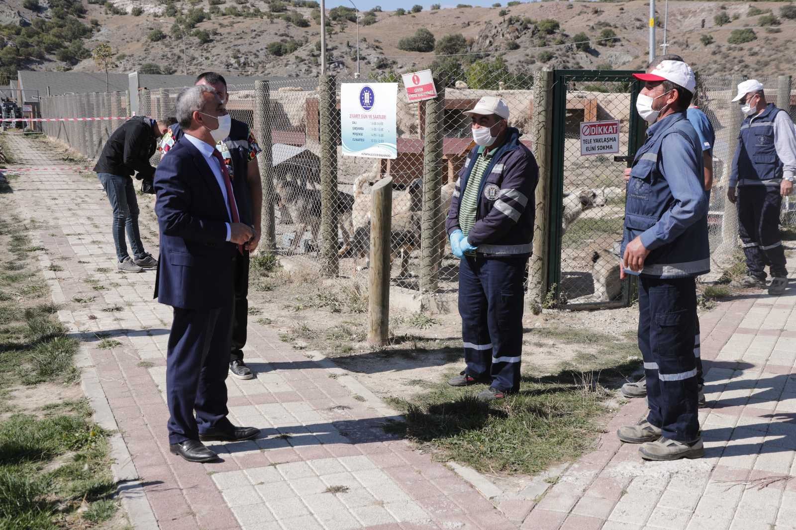 Başkan Işık: Bakımevinde 3 bin 599 hayvan tedavi edildi