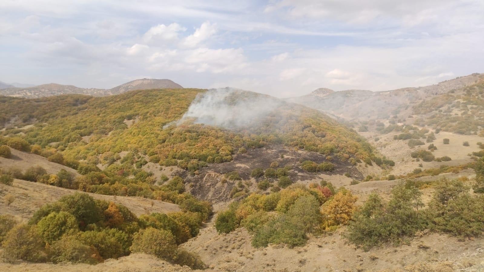 Bingöl’deki orman yangınları kontrol altına alındı