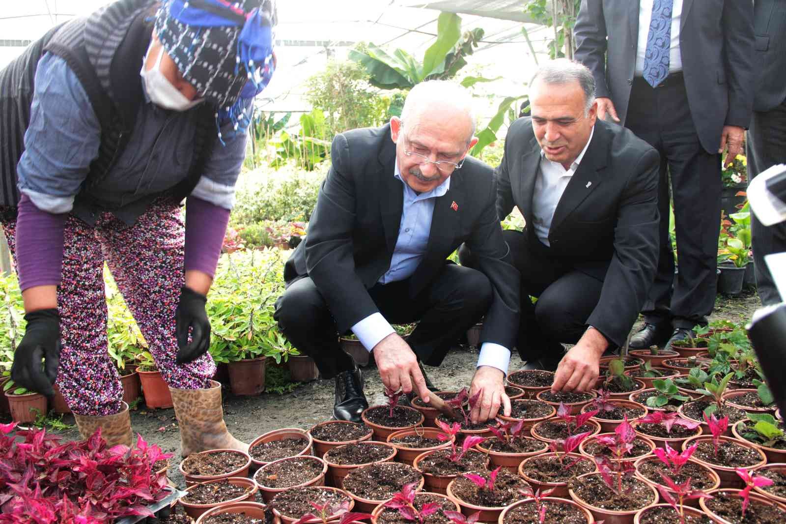 CHP Genel Başkanı Kılıçdaroğlu kadınlarla çiçek dikti