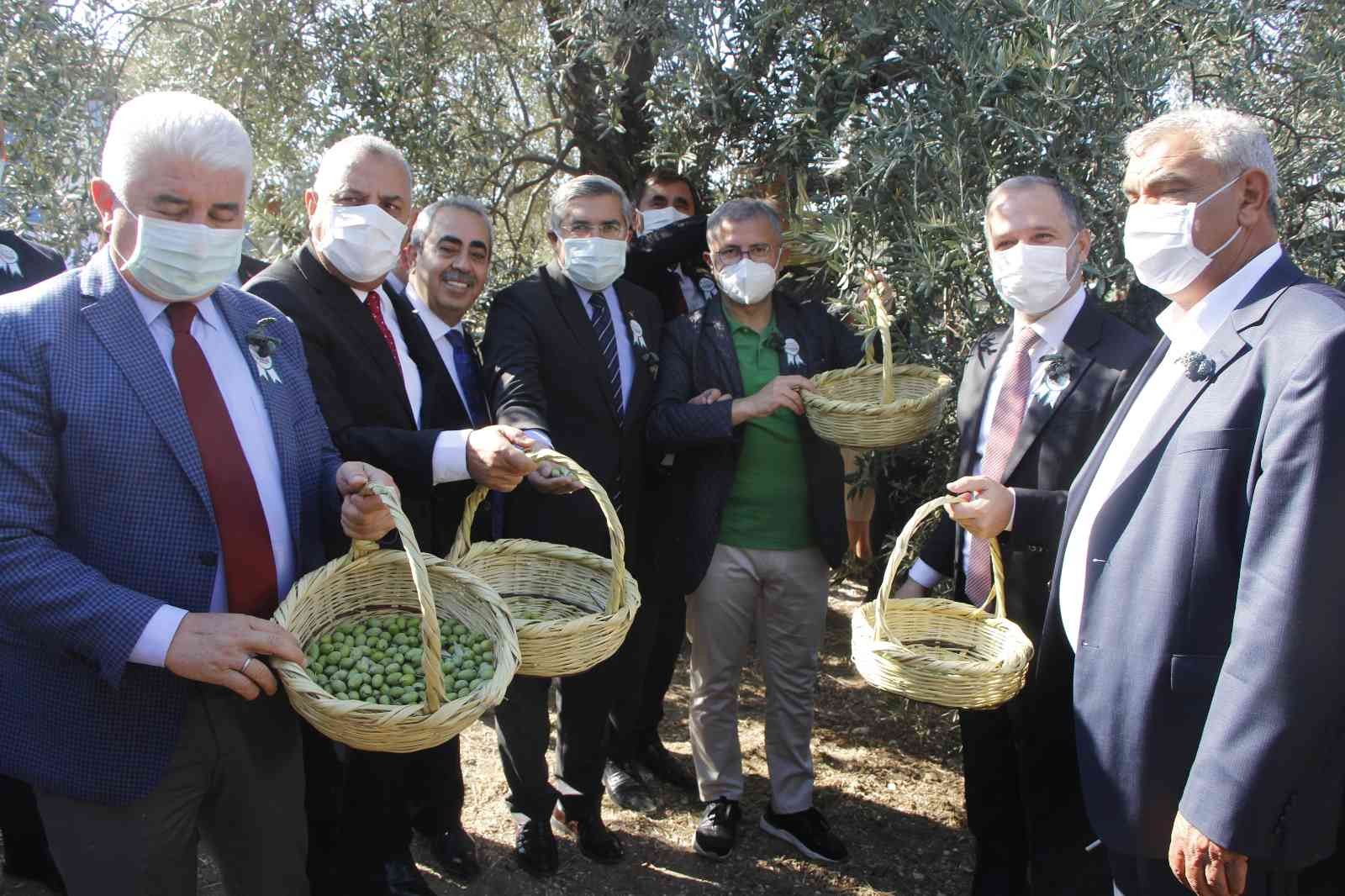 Hatay’da “Zeytin ve Zeytinyağı Festivali” coşkusu