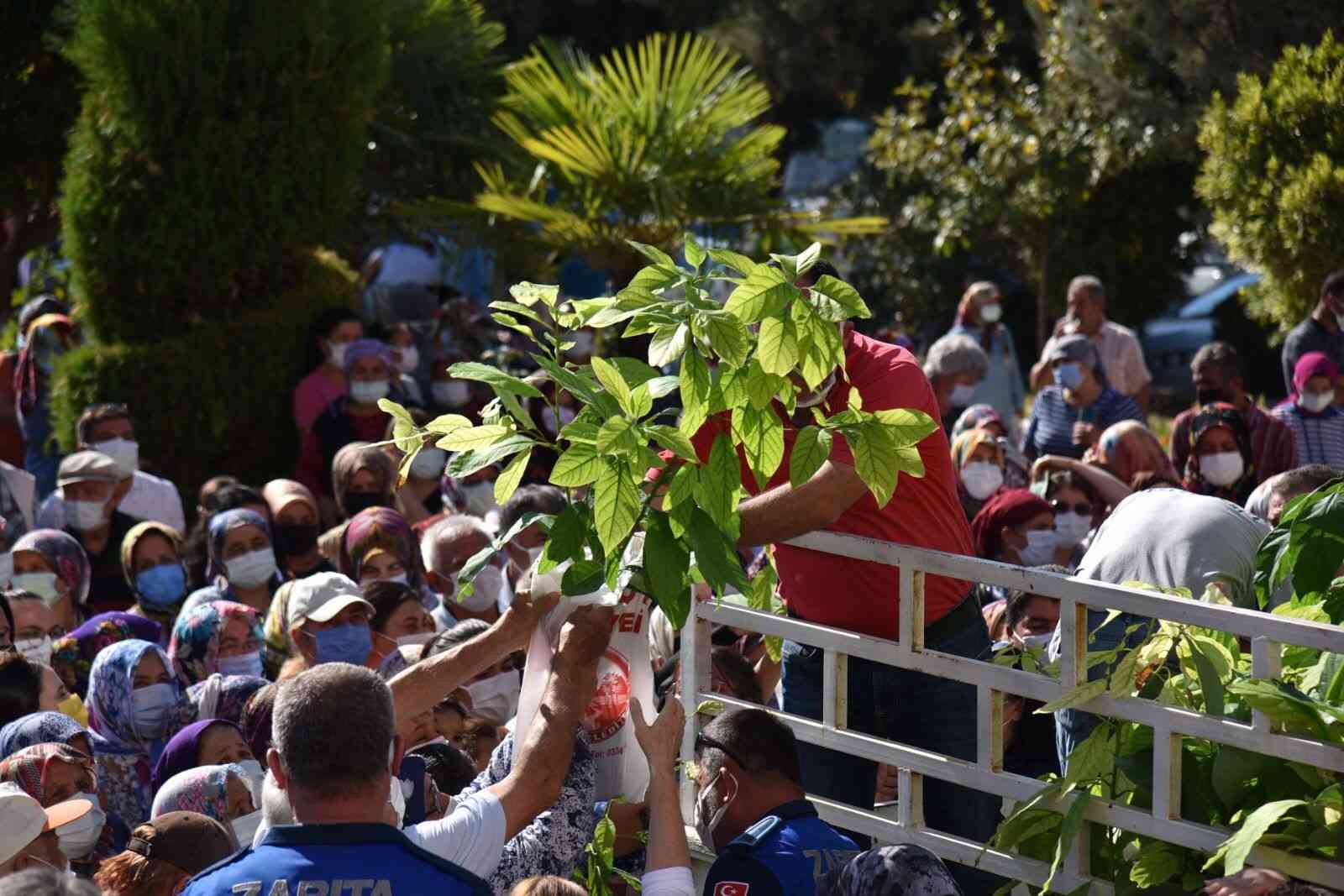 Kadın çiftçilere fidan desteği