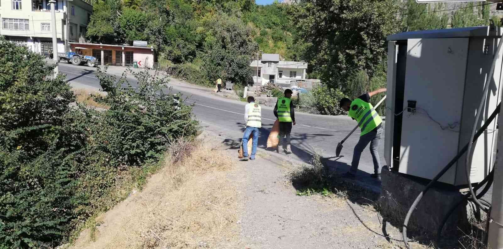 Şenoba belediyesinden sonbahar temizliği