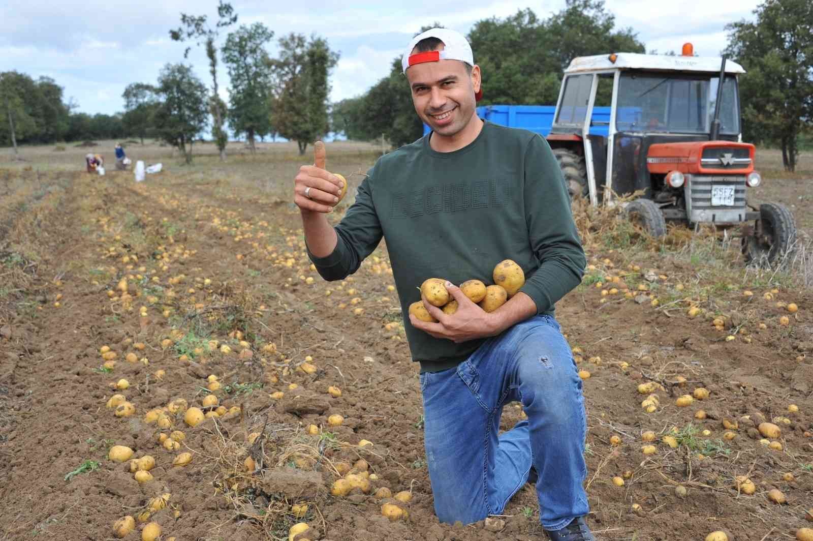 Tohum desteği meyvelerini verdi