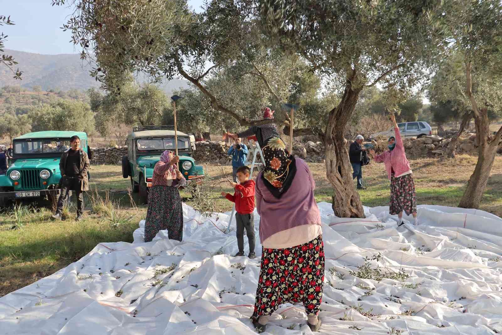 Çine’de ’Zeytin ve Zeytinyağı Festivali’ coşkuyla  başladı