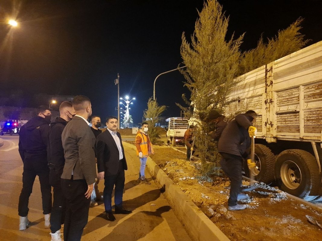 Cizre belediyesi peyzaj ve ağaçlandırma çalışmalarını sürdürüyor