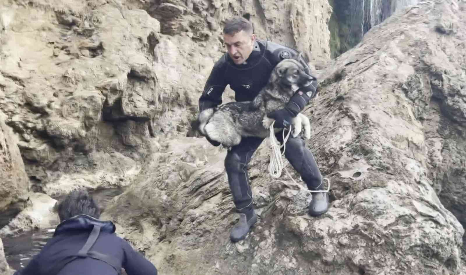 Falezlerde mahsur kalan köpek deniz polisinin ’film gibi’ operasyonuyla kurtarıldı