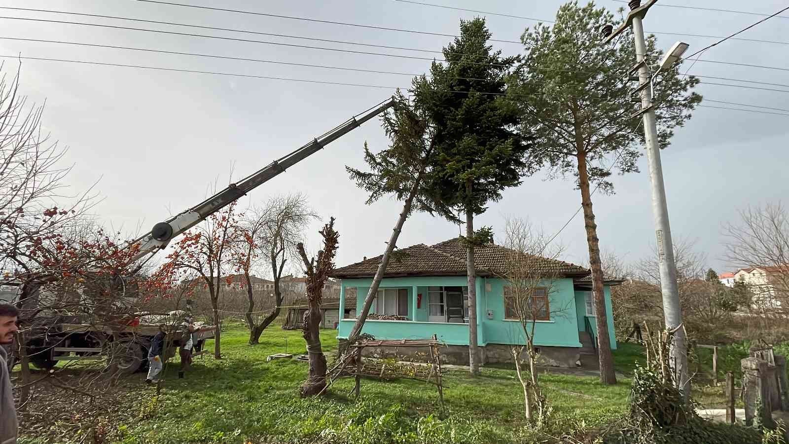 Lodos nedeniyle kökünden kırılan ağaç eve devrilmeden kurtarıldı