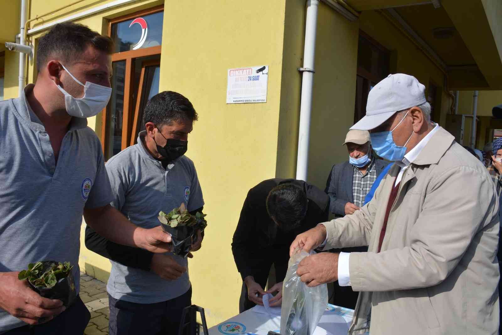 Osmanlı Çileği fideleri halkla buluştu