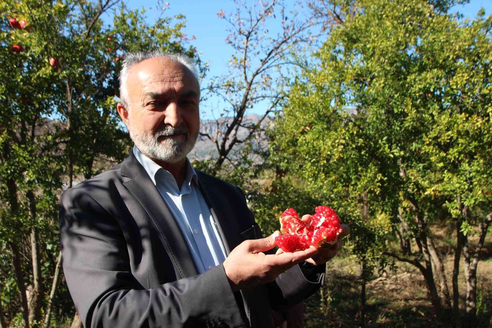 (ÖZEL) Çiçeğinden kabuğuna, çekirdeğinden suyuna kadar her şeyi değerlendiriyorlar