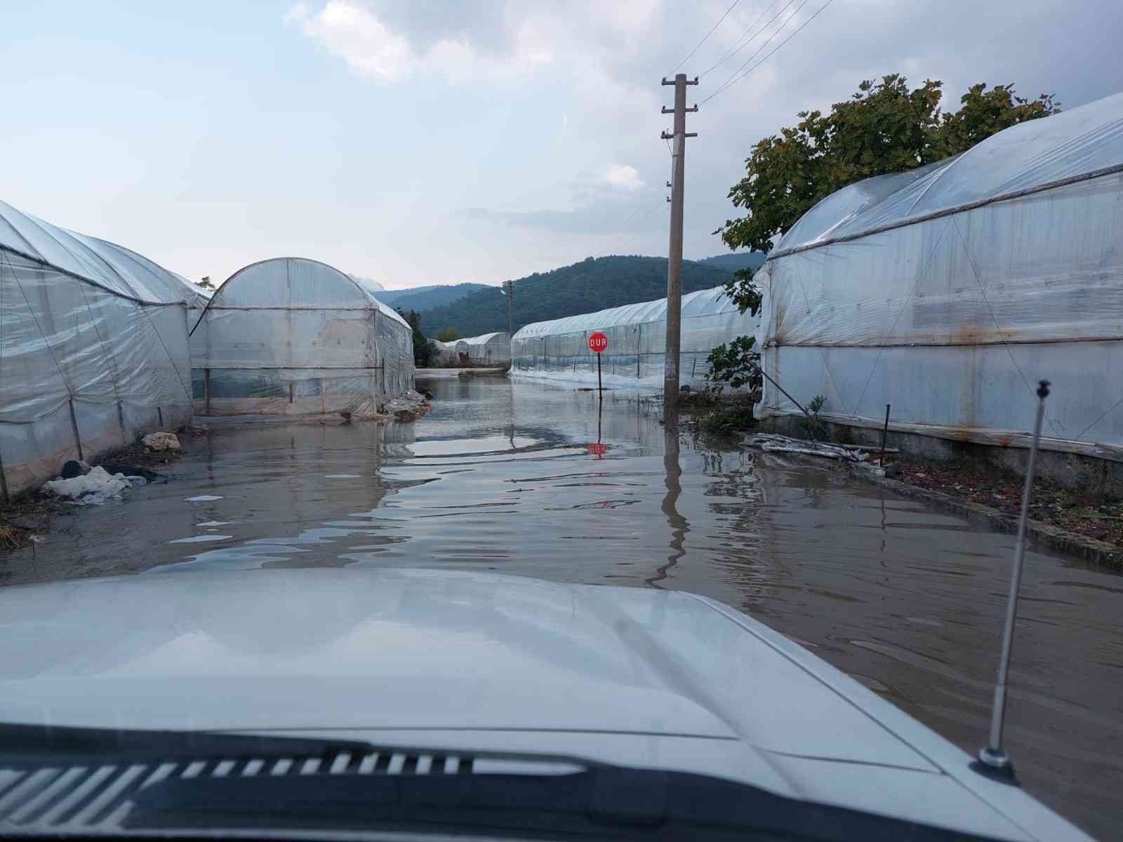 Sağanak yağış, seraların tahliye kanallarını tıkadı