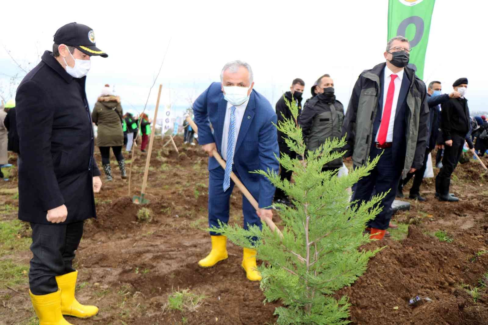 Samsun’da fidanlar toprakla buluştu: Hedef 771 bin fidan