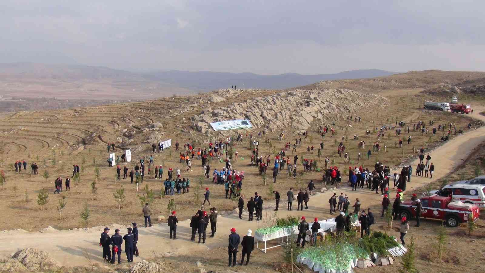 Van’da 40 bin ağaç toprakla buluşturuldu