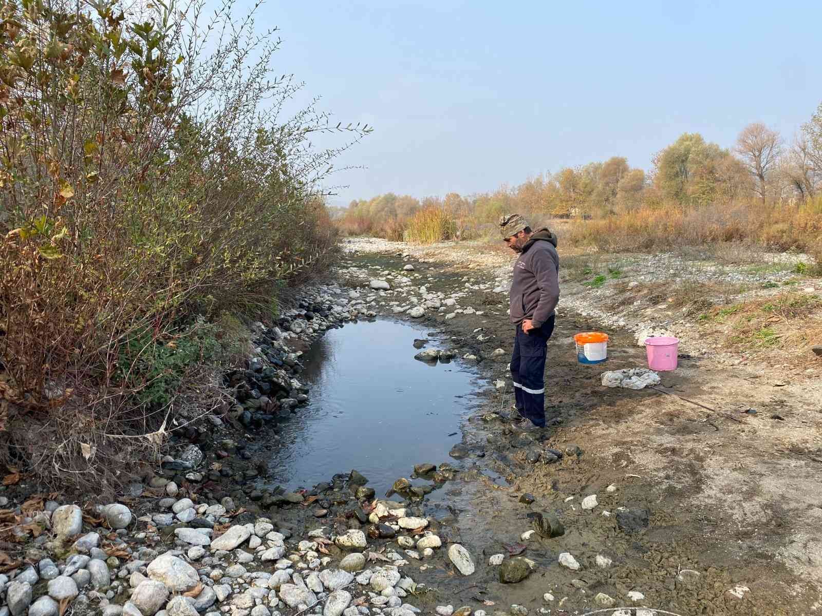 Vatandaşın dikkati binlerce balığı telef olmaktan kurtardı