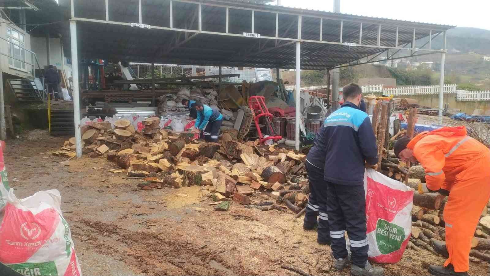 Başiskele’de budanan ağaçlar vatandaşlara yakacak oluyor