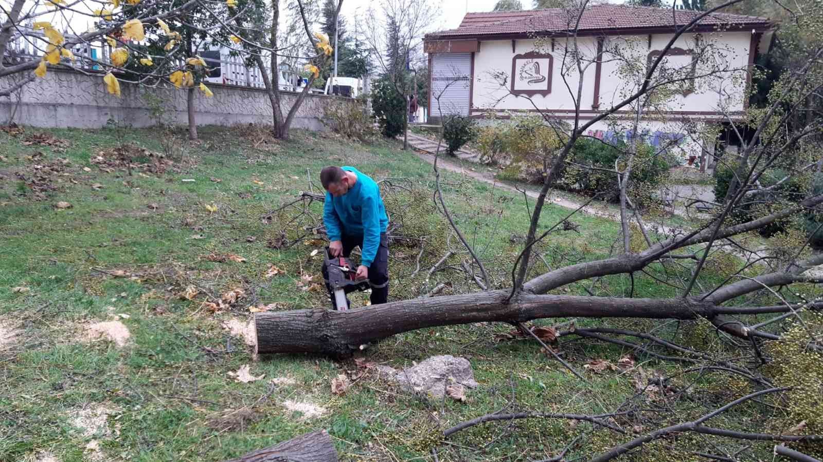 Başiskele’de fırtınadan devrilen ağaçlar kaldırıldı