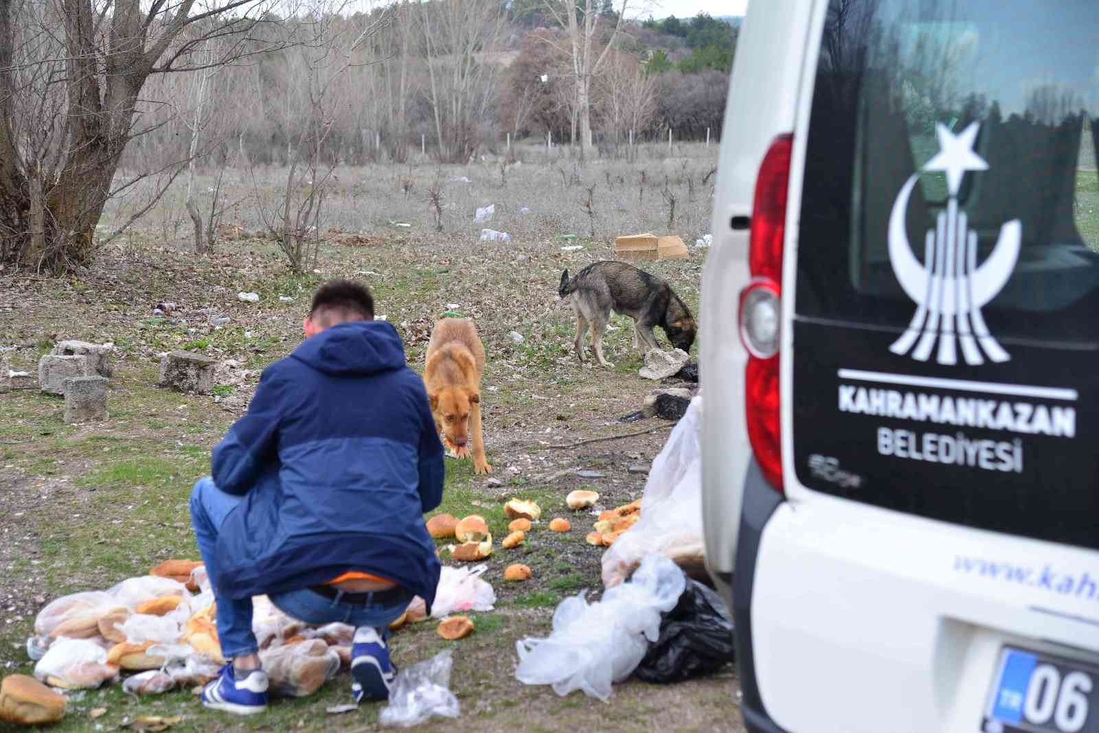 Başkan Oğuz: “Bu soğuk günlerde herkes kapısının önüne ya da parklara biraz yiyecek bırakabilir”