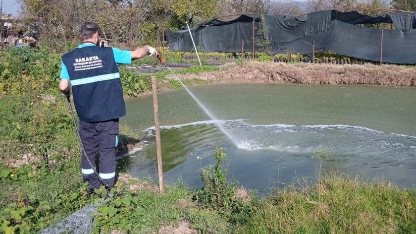 Büyükşehir vektörlerle mücadeleyi yıl boyu sürdürüyor