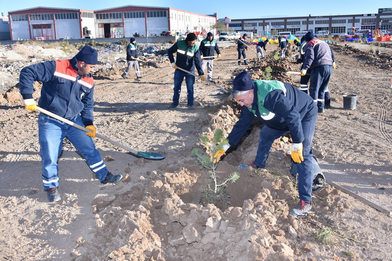 Karatay Belediyesinden ilçeye 2021’de 213 bin 162 fidan ve bitki