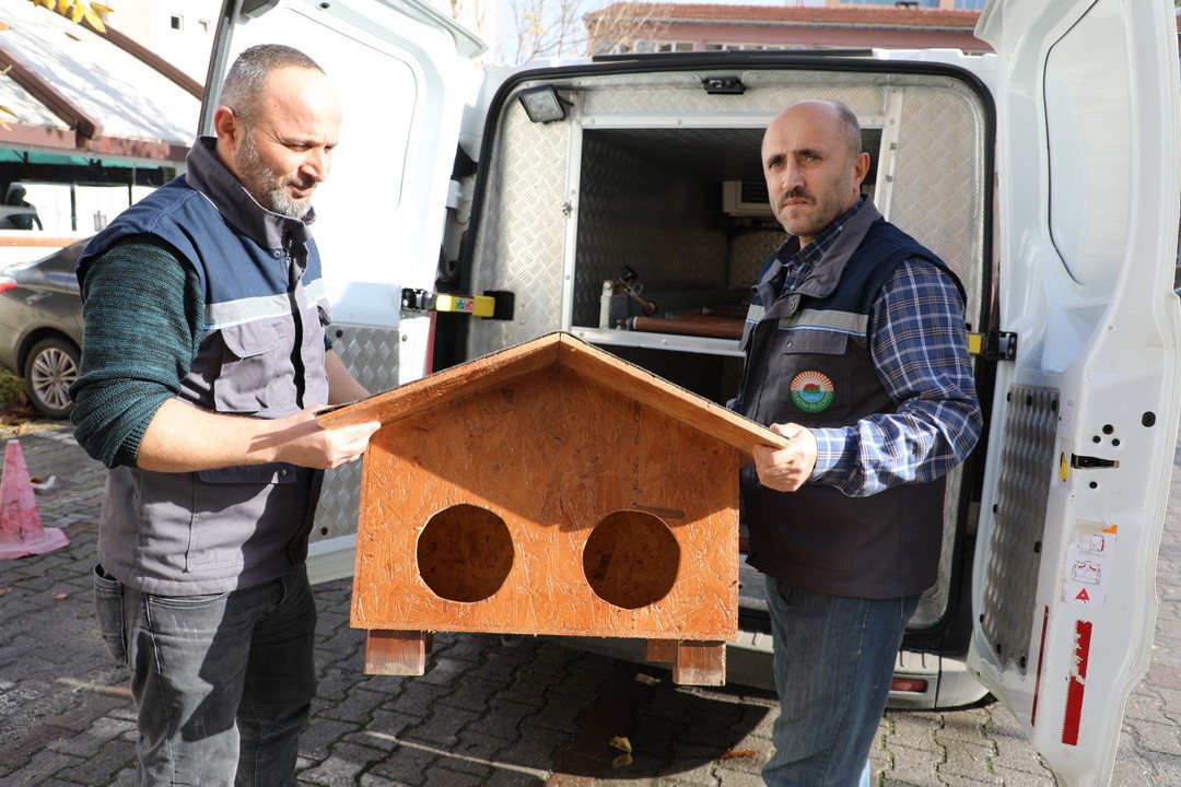 Kedi Evi projesi İlkadım’da hayat buldu