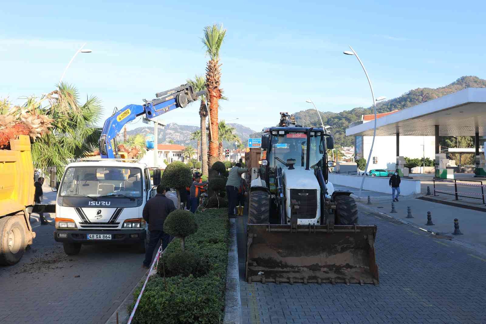 Marmaris’te palmiyeler Ulusal Egemenlik Caddesi’ni süsleyecek