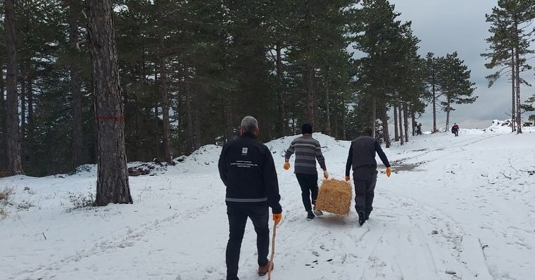 Osmaniye’de sokak ve yaban hayvanlarına mama ve yem desteği