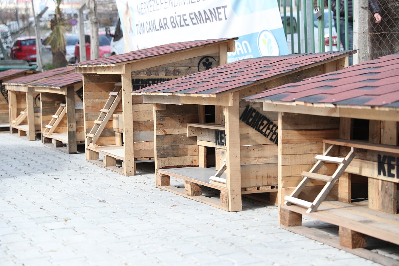 Pet Kafe ve Mama Üretim Tesisi Türkiye’ye örnek oldu