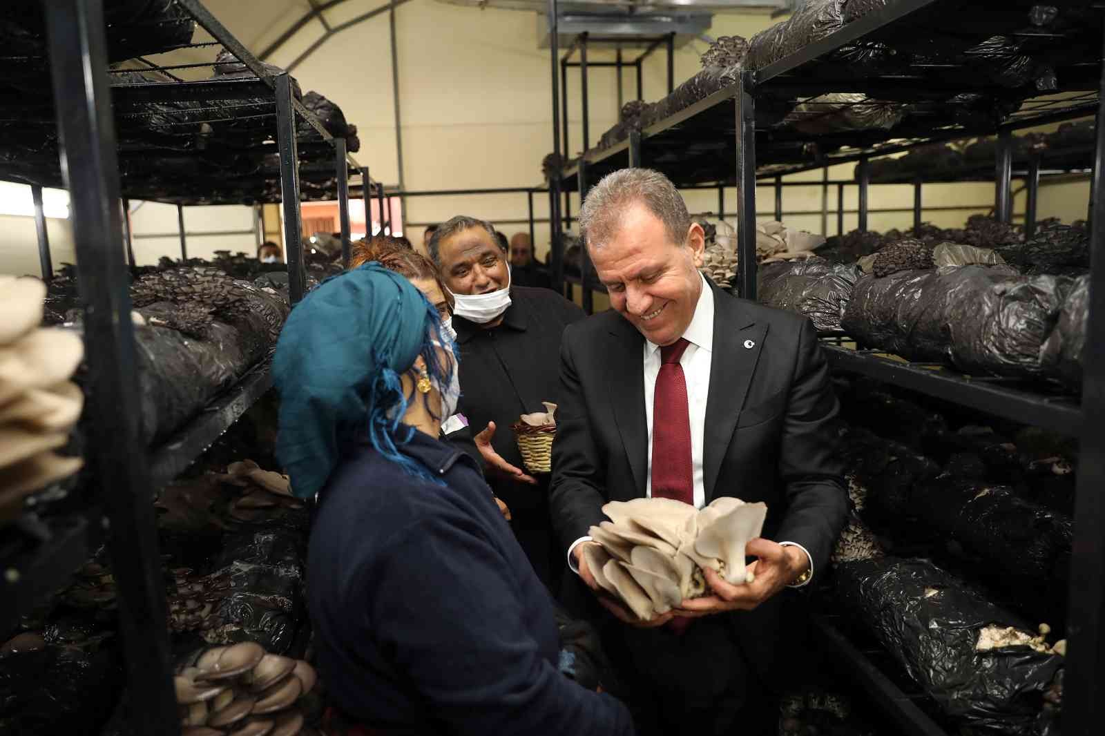 Roman aileler için kurulan mantar tesisinde ilk hasat yapıldı