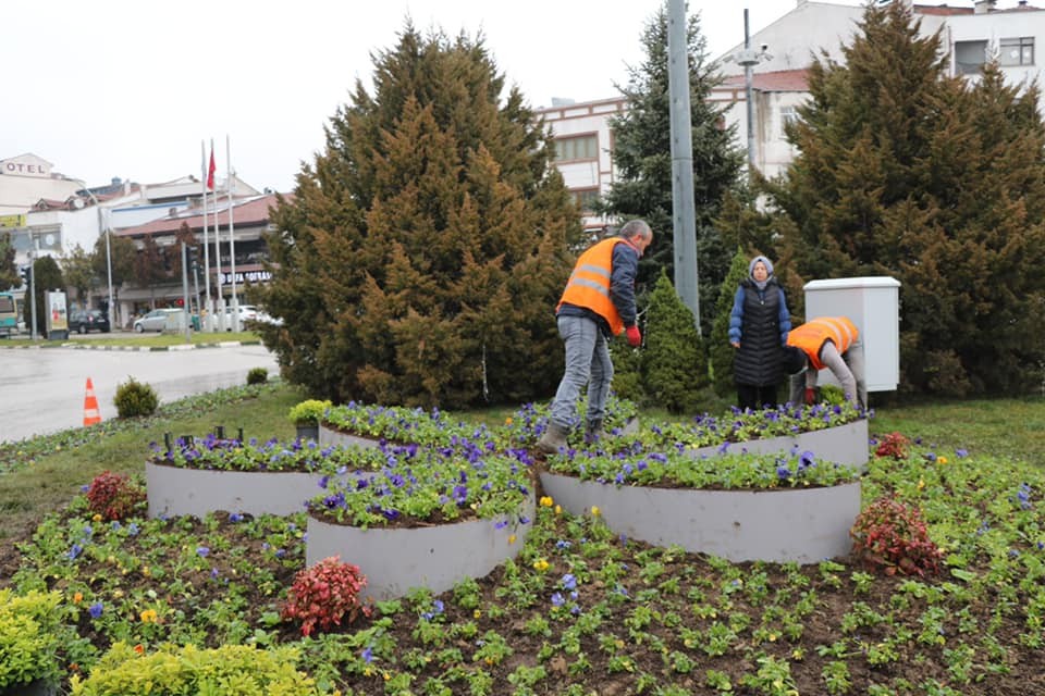 Safranbolu’da kışlık çiçeklerin dikimine başlandı