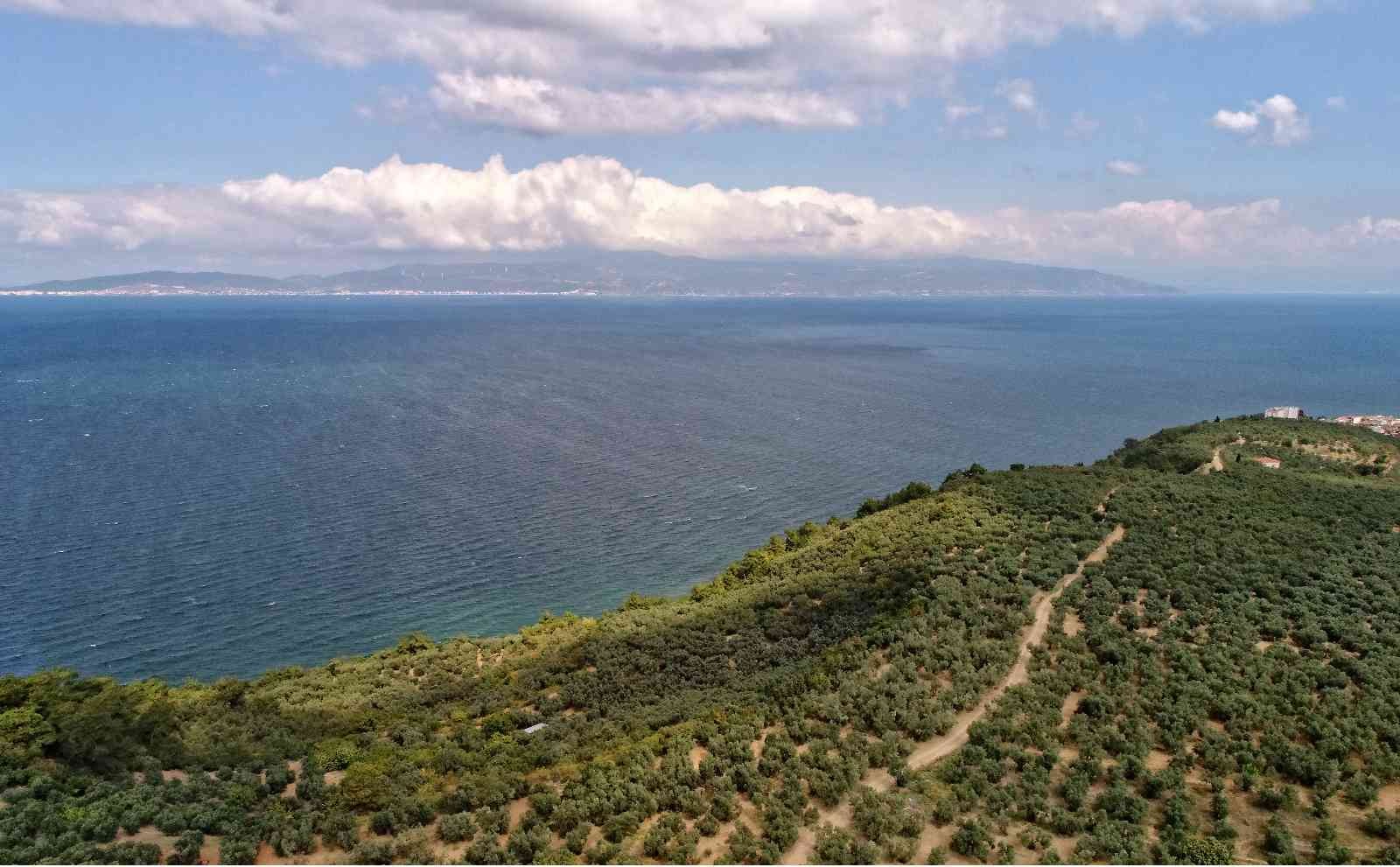 Yeniden temiz bir Marmara için “deniz çalıştayı”