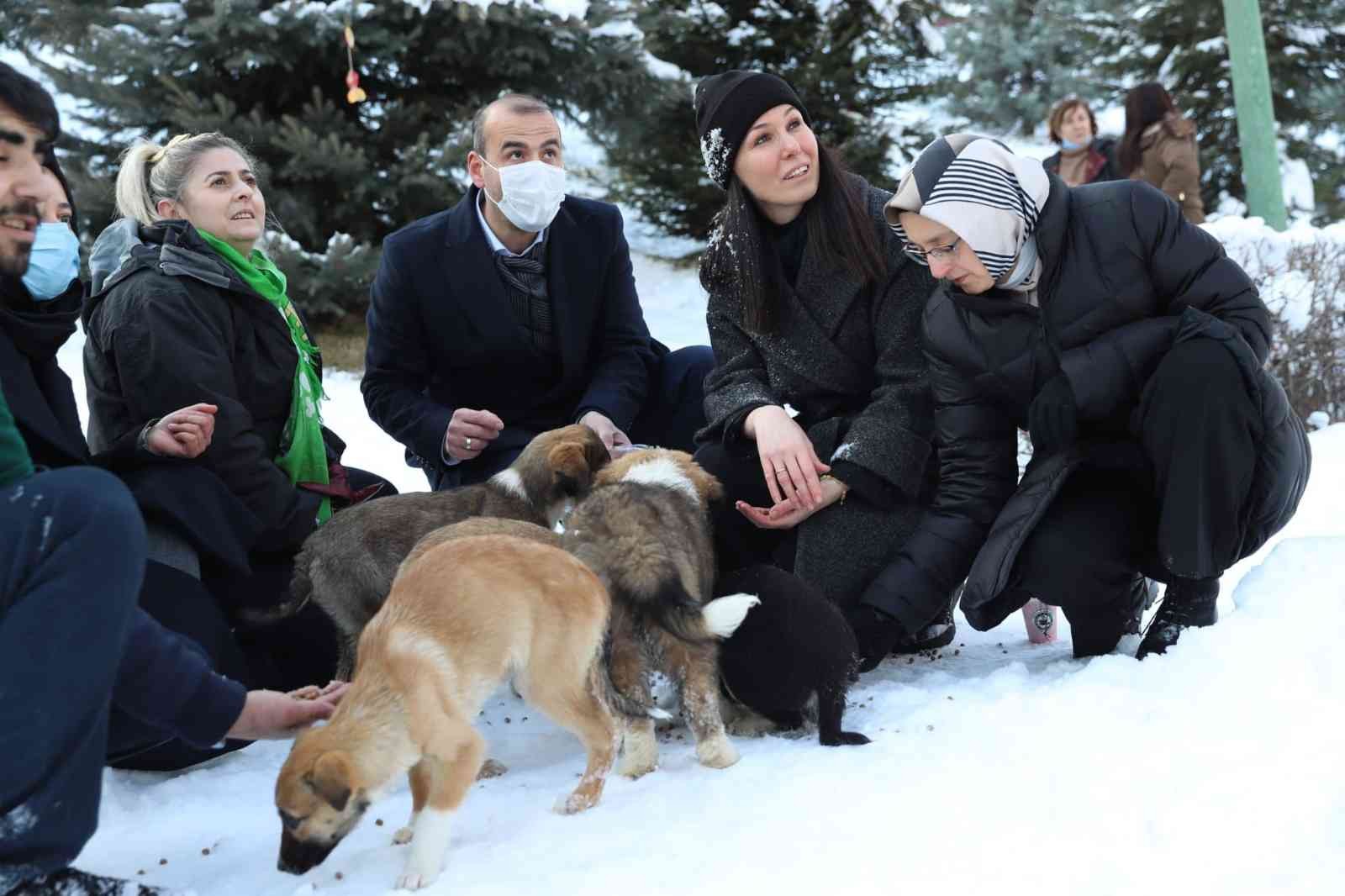 AK Parti’den can dostlar için büyük seferberlik