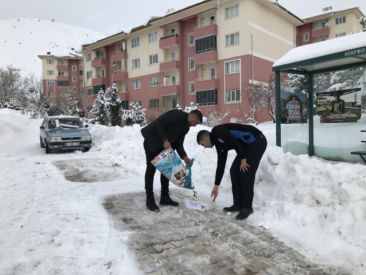 Arapgir Belediyesi, sokak hayvanlarını unutmadı