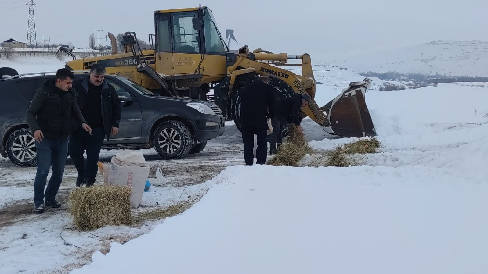 Aşkale’de sokak ve yaban hayvanları beslendi