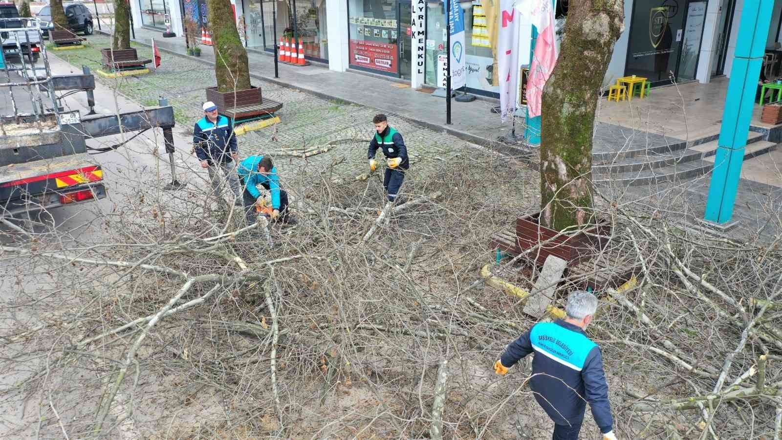 Başiskele’de ağaçlara kışlık bakım