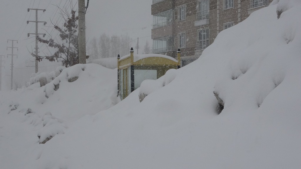 Bitlis’te 147 köy yolu ulaşıma kapandı