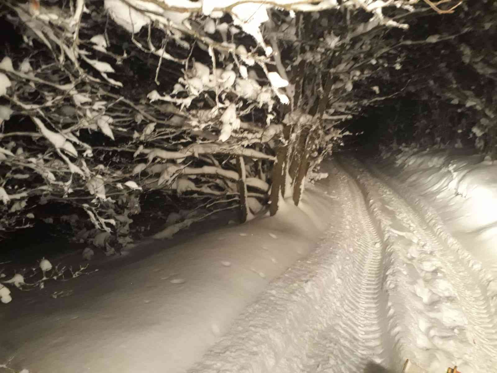 Bursa’da mangal yapmak için gittikleri ormanlık alanda kar nedeniyle mahsur kalan 5 kişi ekipler tarafından kurtarıldı