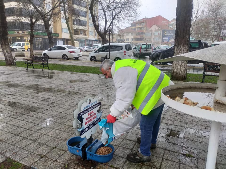 Çan Belediyesi sokak hayvanlarını unutmadı