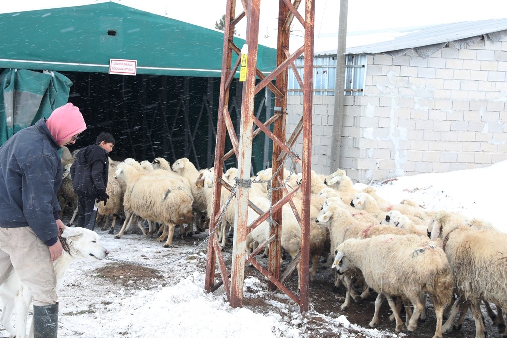 Çiftçinin imdadına Kocasinan Belediyesi yetişti