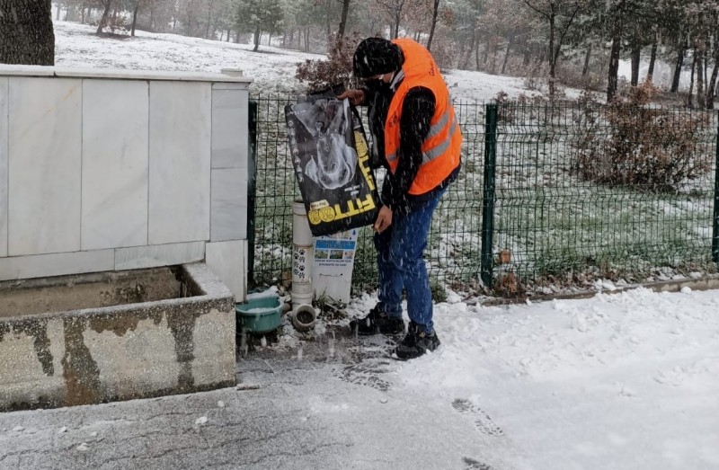 Gediz’de sokak hayvanları unutulmadı