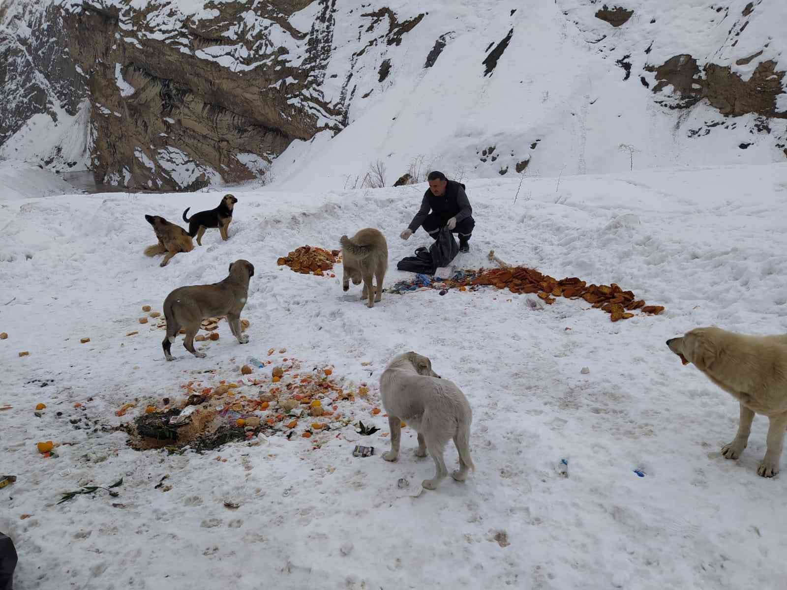 Hakkari’de sokak hayvanları için doğaya yiyecek bırakıldı