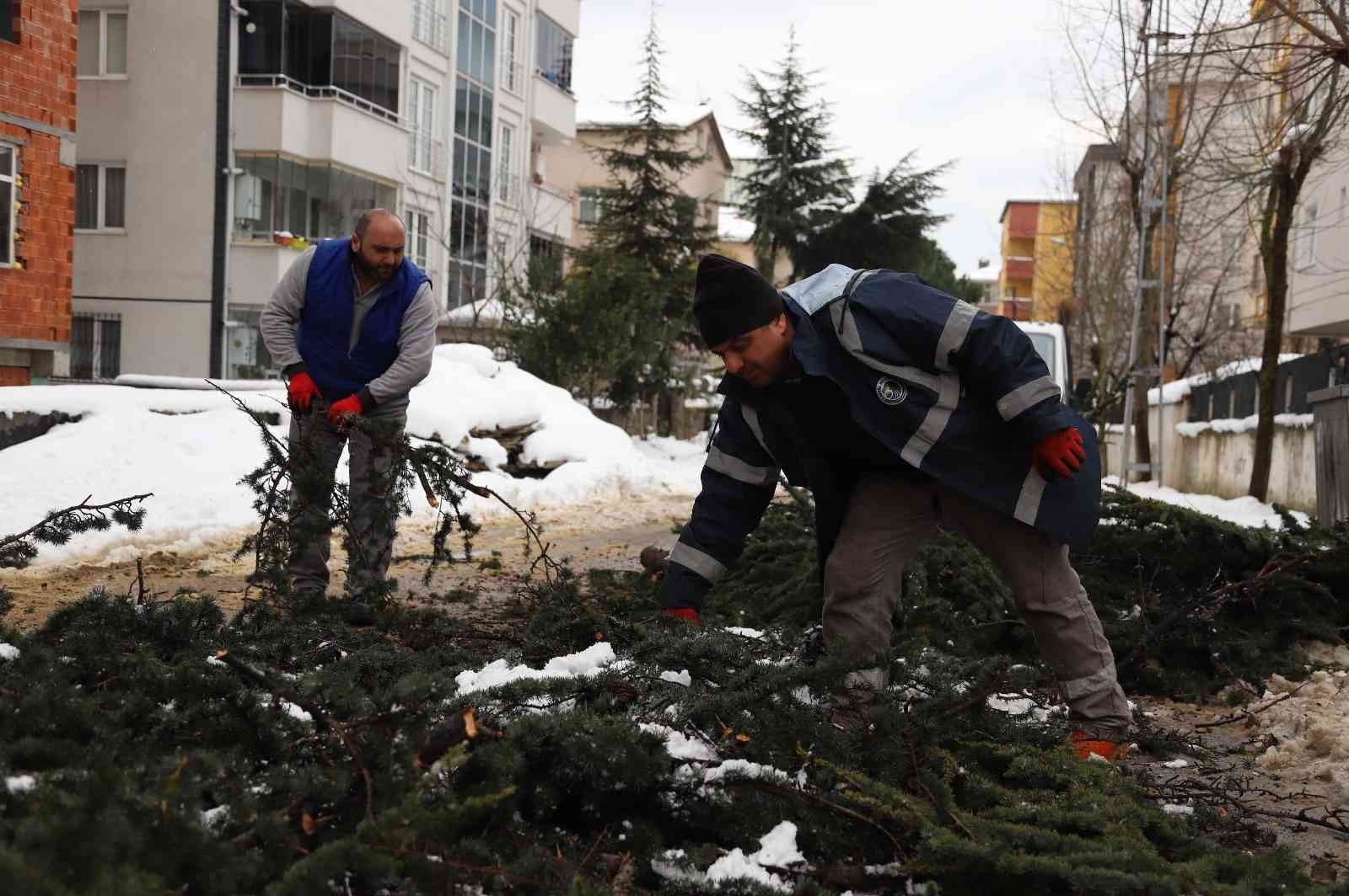 Kartal’da budanan ağaç dalları ihtiyaç sahiplerine yakacak oluyor