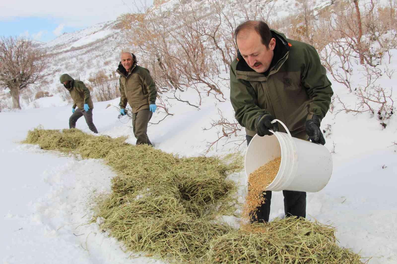 Vali Çırav Dağı’nda yaban hayvanları için doğaya yem bıraktı