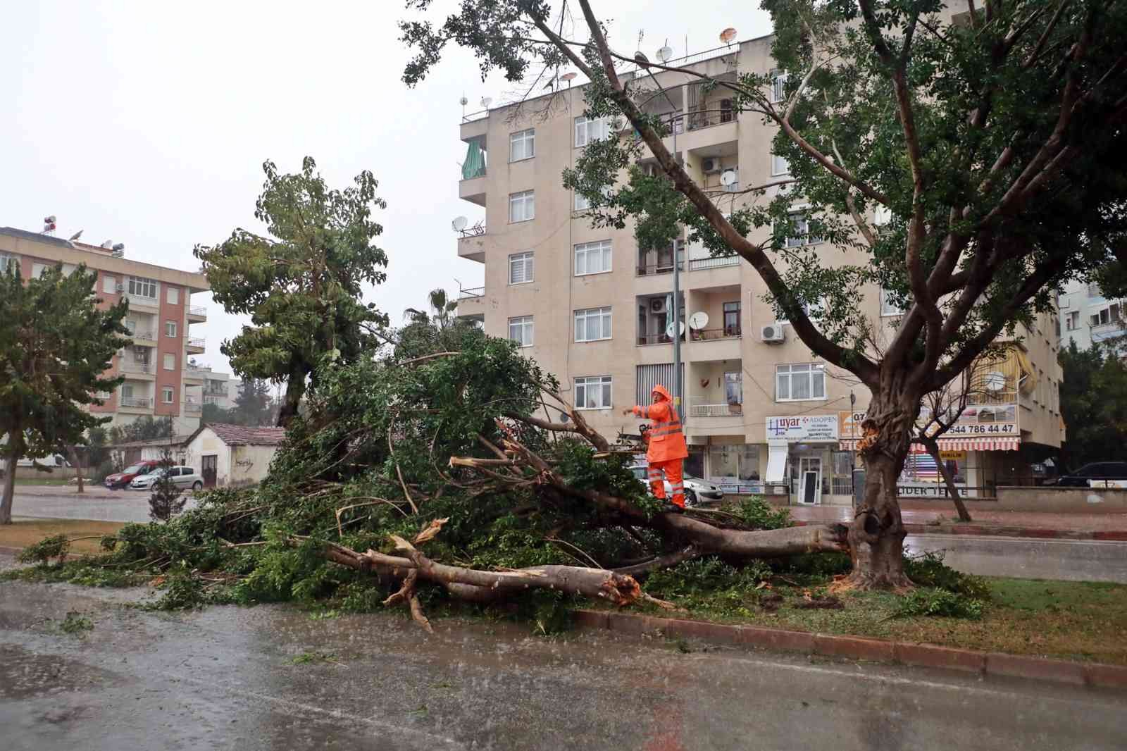 Antalya kent merkezine dolu yağdı rüzgara dayanamayan ağaç yola devrildi