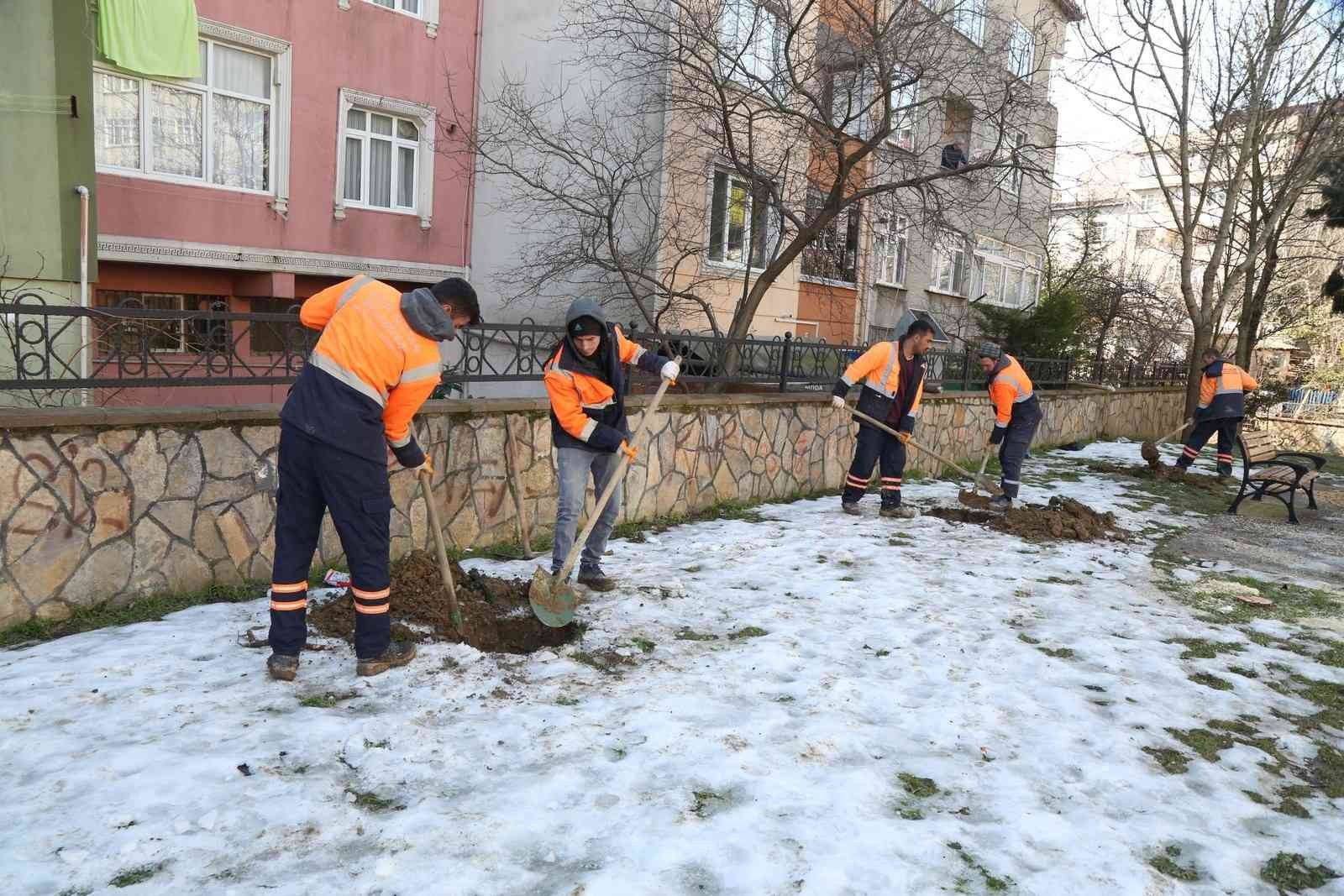 Eyüpsultan’da ağaç dikimi devam ediyor