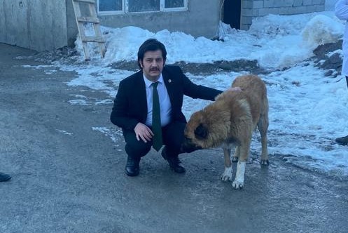 Vali Yardımcısı Kasımoğlu, şiddet gören iki köpeği sahiplendi